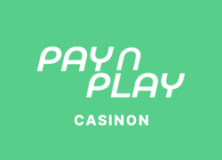 pay n play casino logga