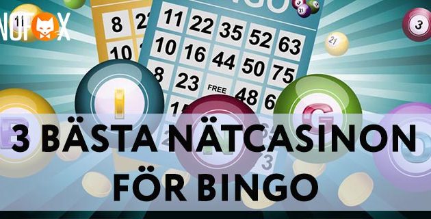 3 Bästa nätcasino for bingo