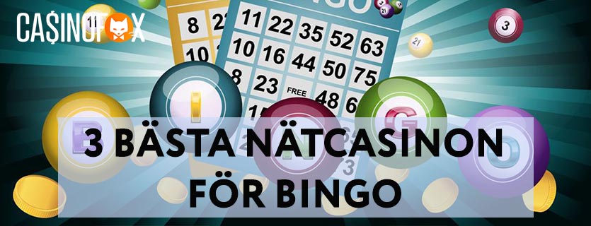 3 Bästa nätcasino for bingo