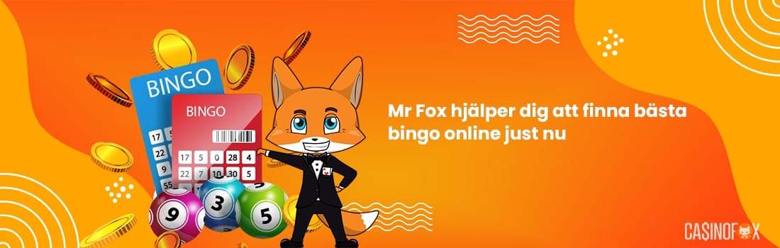 Hitta bästa bingo online just nu