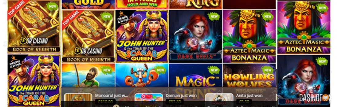Stort casino med ett spelutbud från 51 spelutvecklare